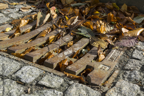 fall leaves block up sewer hole restricting runoff flow.