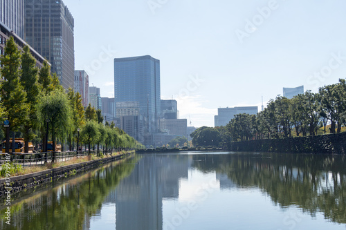 Tokyo central city in autumn / Fall scenery around the Imperial Palace in the central of Tokyo,Japan © 政昭 大橋