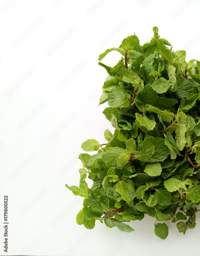 Obraz premium Mint