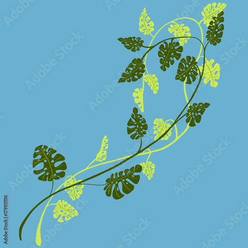 tropical green vines on blue photo