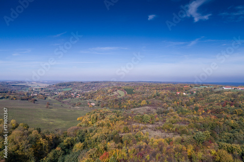 Beautiful autumn forest