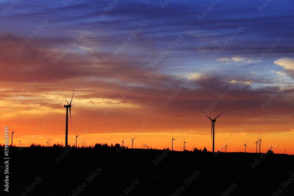 Fototapeta premium Wind turbines in the evening
