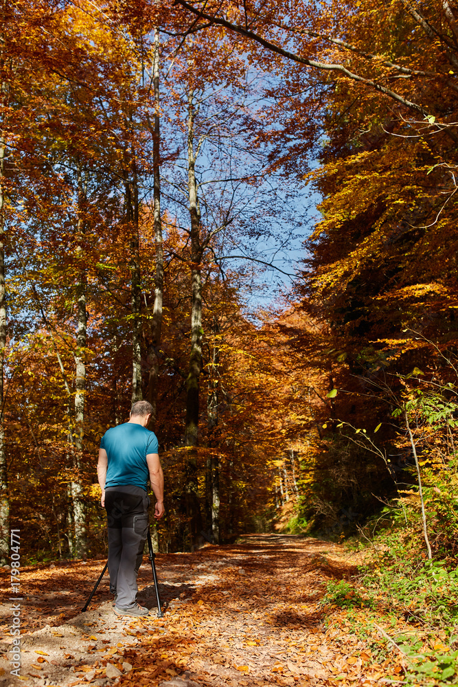 Professional photographer shooting autumn colors Professional photographer shooting autumn colors