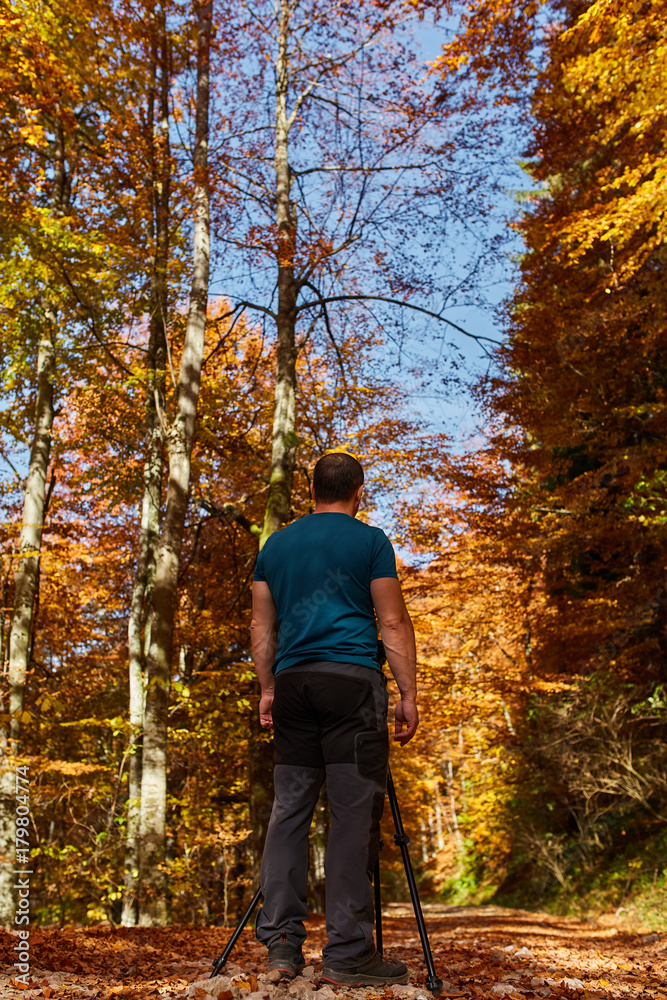 Professional photographer shooting autumn colors