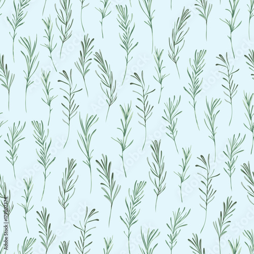 Fototapeta Naklejka Na Ścianę i Meble -  Seamless pattern with rosemary. Rustic floral background. Vintage vector illustration in watercolor style