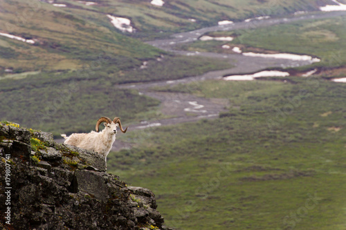 Denali National Park, Alaska photo