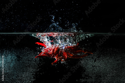 Chilli. Red pepper in water with splash on a black background