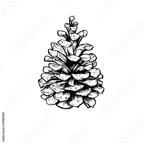 Hand drawn vector illustrations.