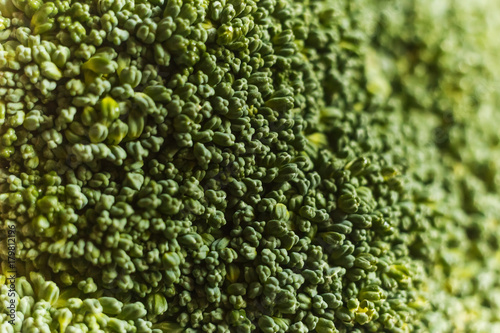Macro photo of green broccoli flowers