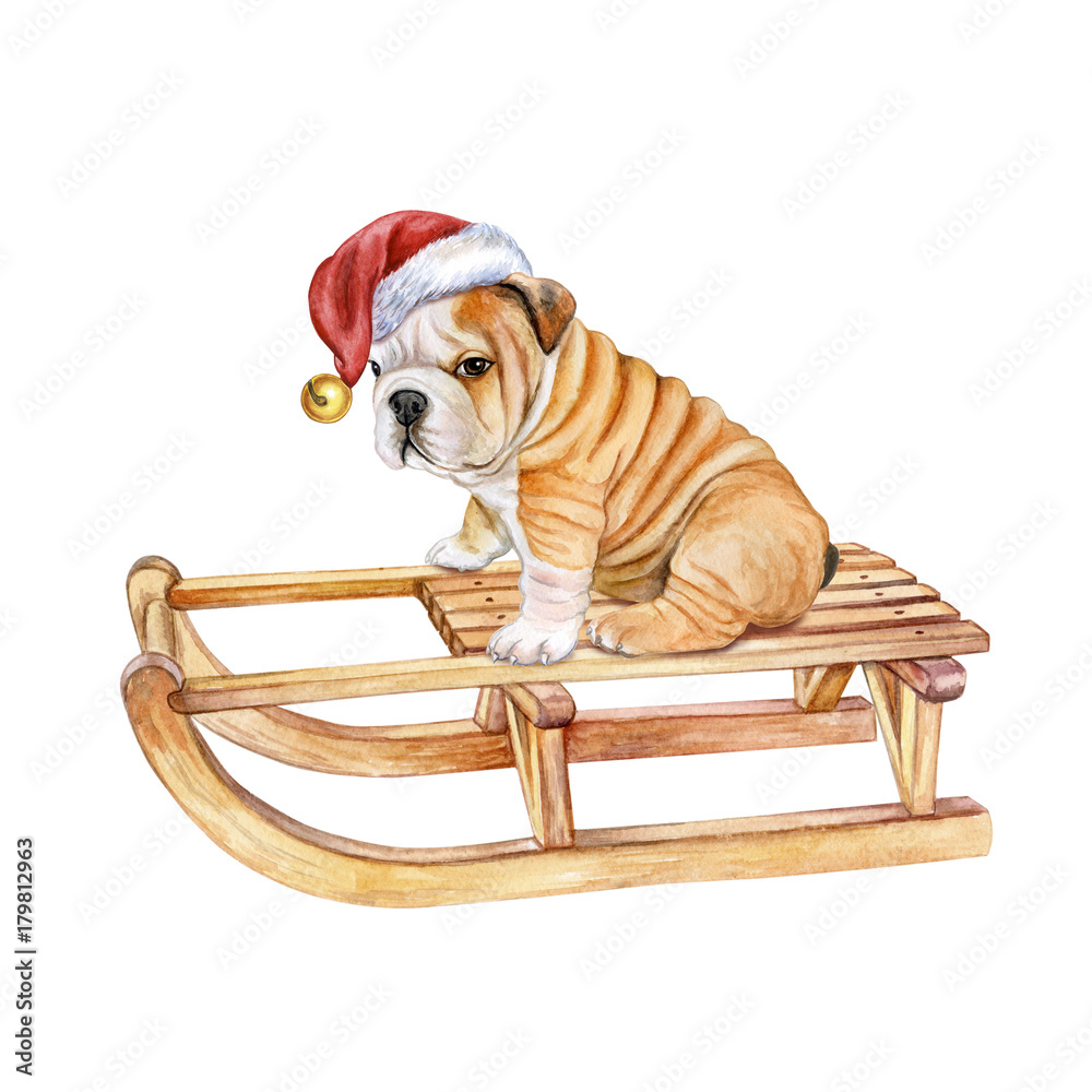 Bulldog with santa hat sales