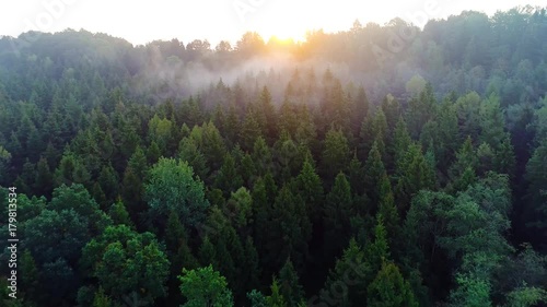 flying above green forest at summer time photo