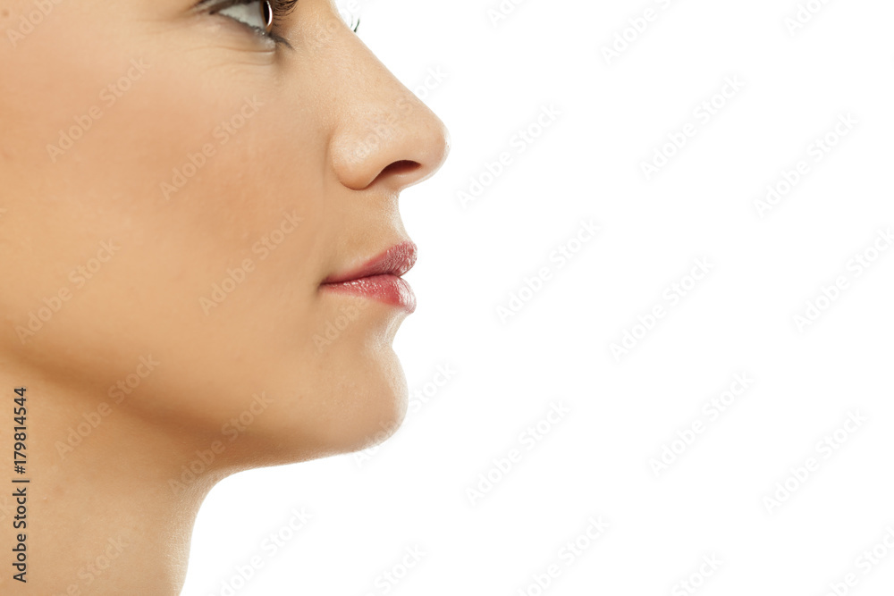 Nose, lips, and cheeks of young woman Nose, lips, and cheeks of young woman