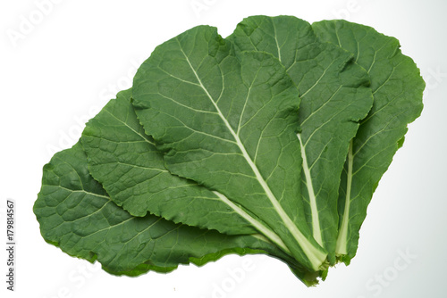 Kale vegetable on white background