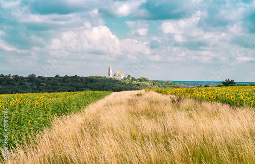 Road to the Orthodox church, sunflower field. photo