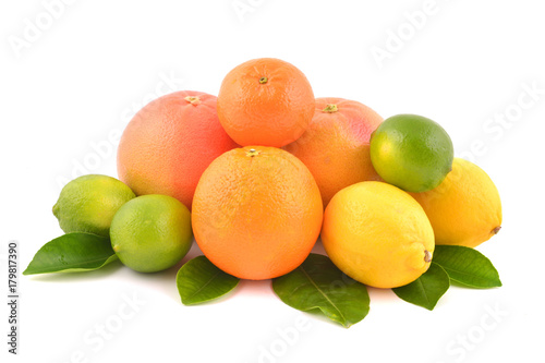 Slika na platnu Citrus fruits isolated on white background.