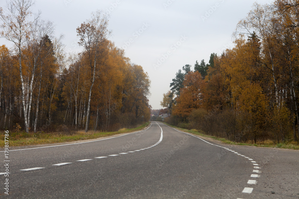 дорога в осень дорога в осень