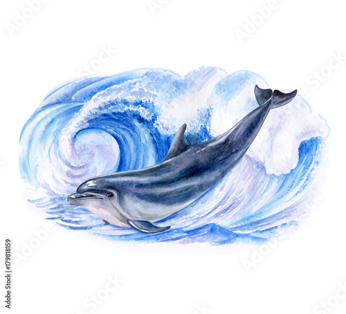 A dolphin realistic and marine, wave. Watercolor. Illustration. Template. Handmade