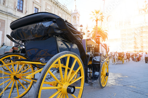 Carriage ride in historic center of Sevilla