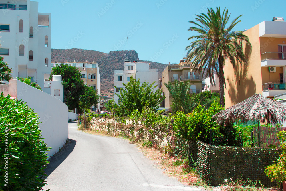 road up the hill through palm trees and houses