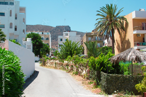 road up the hill through palm trees and houses © hedjik