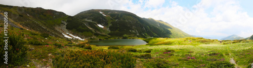 Mountain lake and Rhododendron flowers landscape panorama in Rodnei Mountains, Romania,Lake Lala Mare