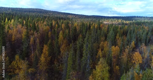 Autumn forest, Cinema 4k aerial rising view over a swamp , revealing the colorful fall forest, infront of tunturi fjeld mountains, in pallas-yllas national park, Lapland, Finland photo