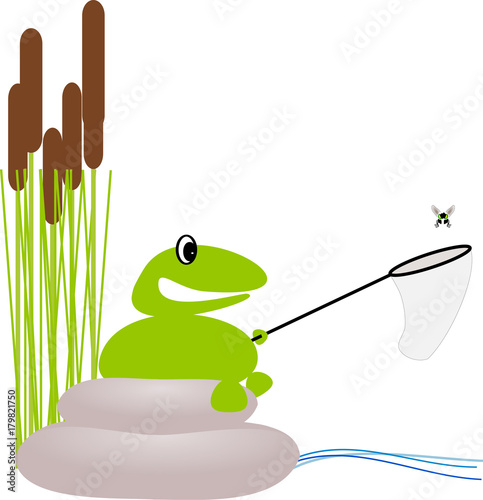 Frosch sitzt am Teich und fängt Fliege