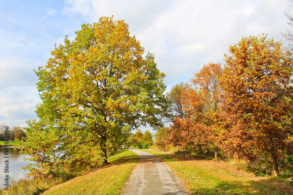 Autumn trees on bicycle path near Vltava river. Czech landscape Autumn trees on bicycle path near Vltava river. Czech landscape