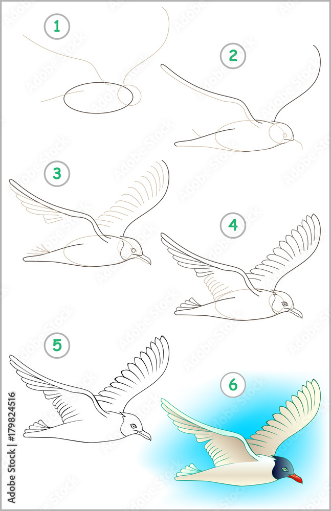 Naklejka premium Page shows how to learn step by step to draw a flying seagull. Developing children skills for drawing and coloring. Vector image.