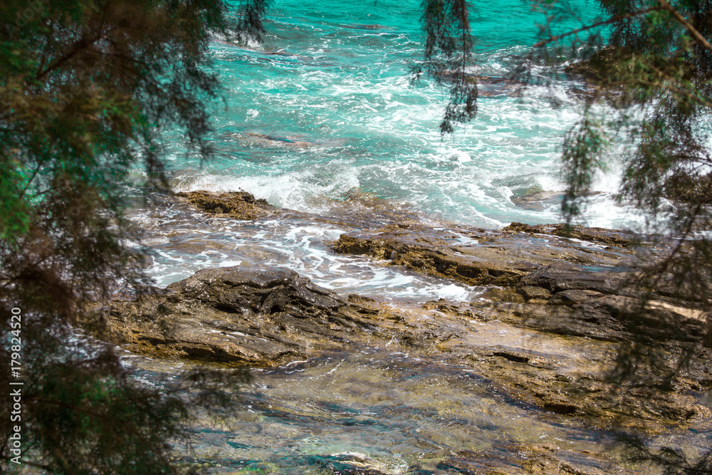 at sea on the rocks are broken waves, in the foreground part of the tree at sea on the rocks are broken waves, in the foreground part of the tree