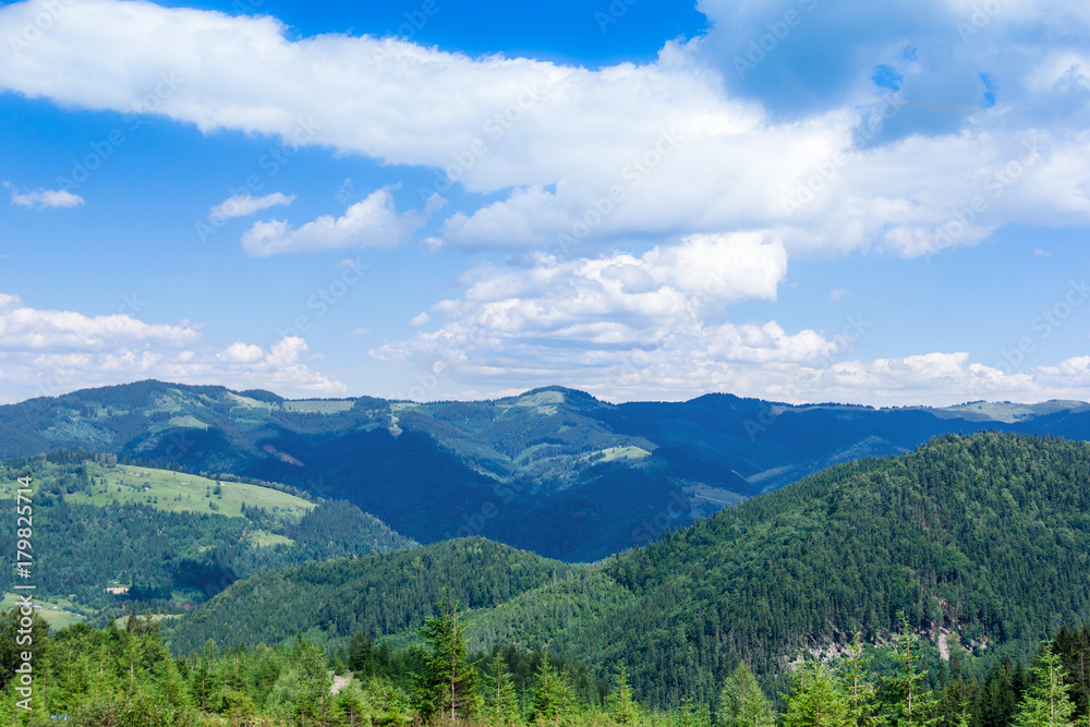 landscape of a Carpathians mountains with fir-trees, grassy valley and sky