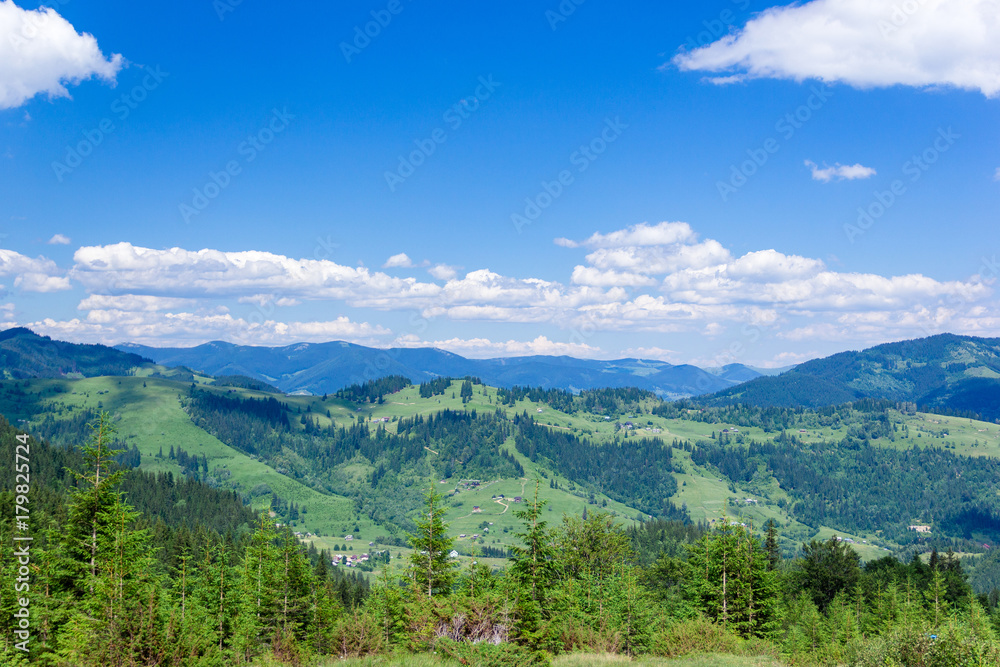 landscape of a Carpathians mountains with fir-trees, grassy valley and sky