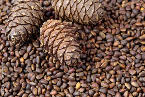 Close up of cedar pine nuts and cones on blackboard background.