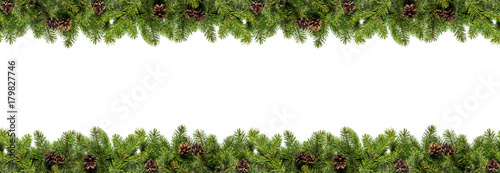 Evergreen branches on white