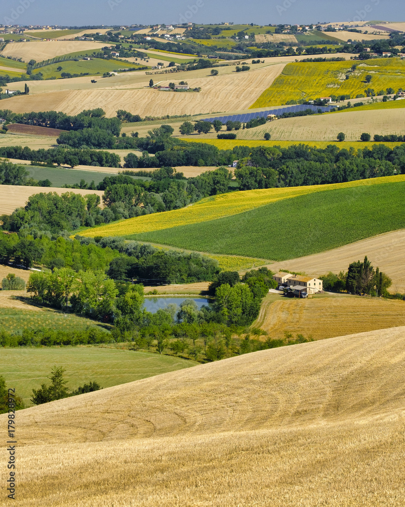 Summer landscape in Marches (Italy) near Filottrano Summer landscape in Marches (Italy) near Filottrano
