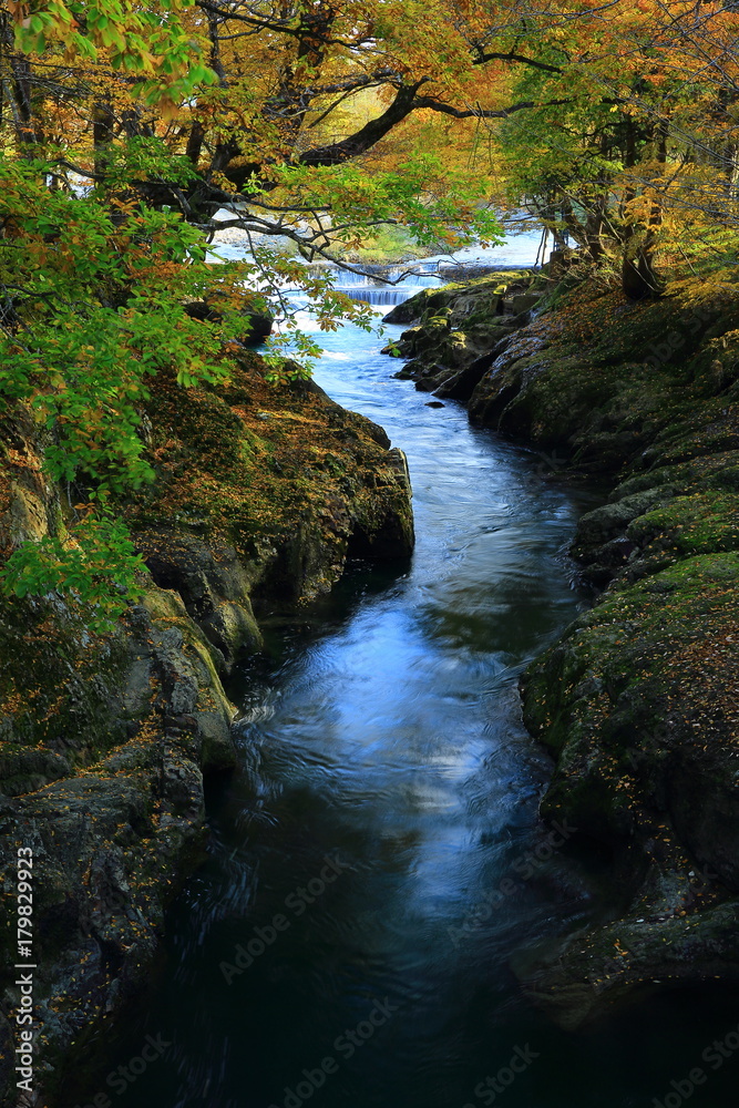 紅葉の弁天島