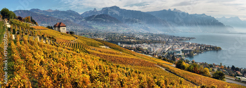 Fotografiet panorama of autumn vineyards in Switzerland