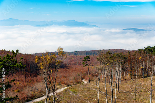 Ausblick Niederösterreich hoher Lindkogel