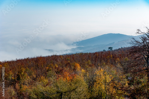 Ausblick Niederösterreich hoher Lindkogel