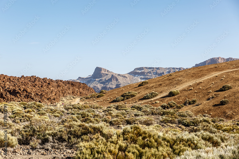 Characteristic landscape of the Teide natural park in Tenerife, Canary Islands