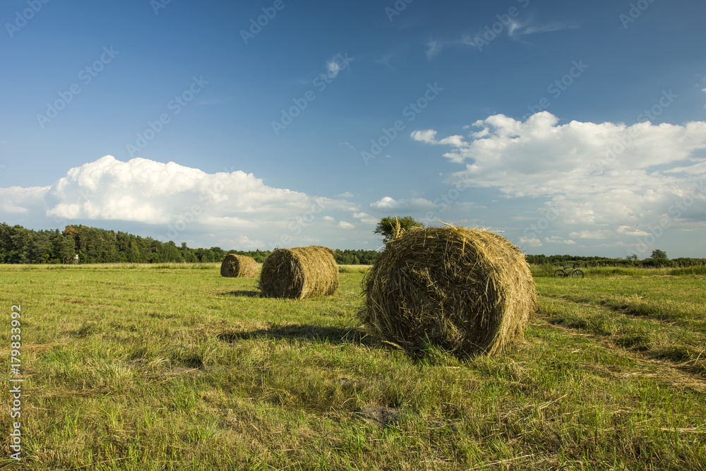 The haystack in the field