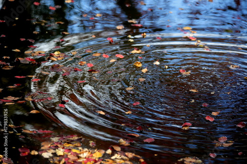 Ripples in the water photo