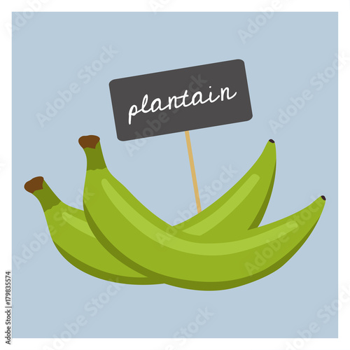 Vector Fruit - Plantain