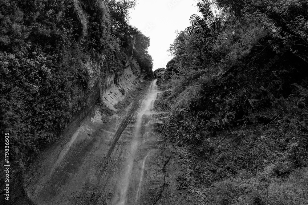 high waterfall in the rain forest, Bali island, Indonesia - black and white, high contrast high waterfall in the rain forest, Bali island, Indonesia - black and white, high contrast