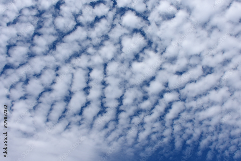 青空と雲「雲の風景」（無数の、数多くの、同じようななどのイメージ）