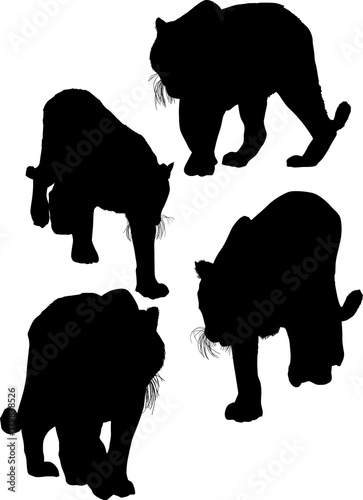 four isolated large black tiger silhouettes