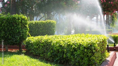 Automatic watering system