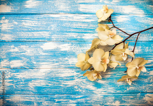 A branch of yellow orchids lies on a blue wooden background 