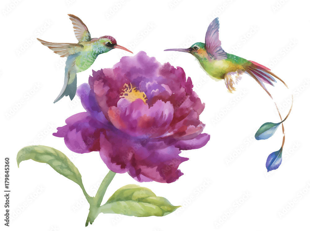 Obraz premium Watercolor hand drawn colorful beautiful flower and birds.