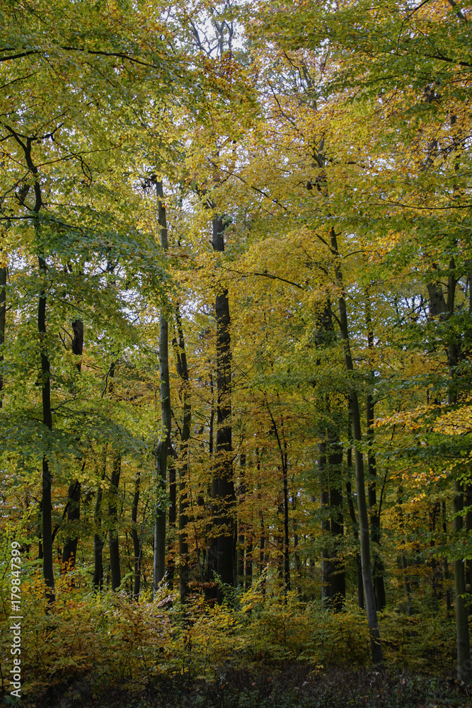 Herbst Herbst
